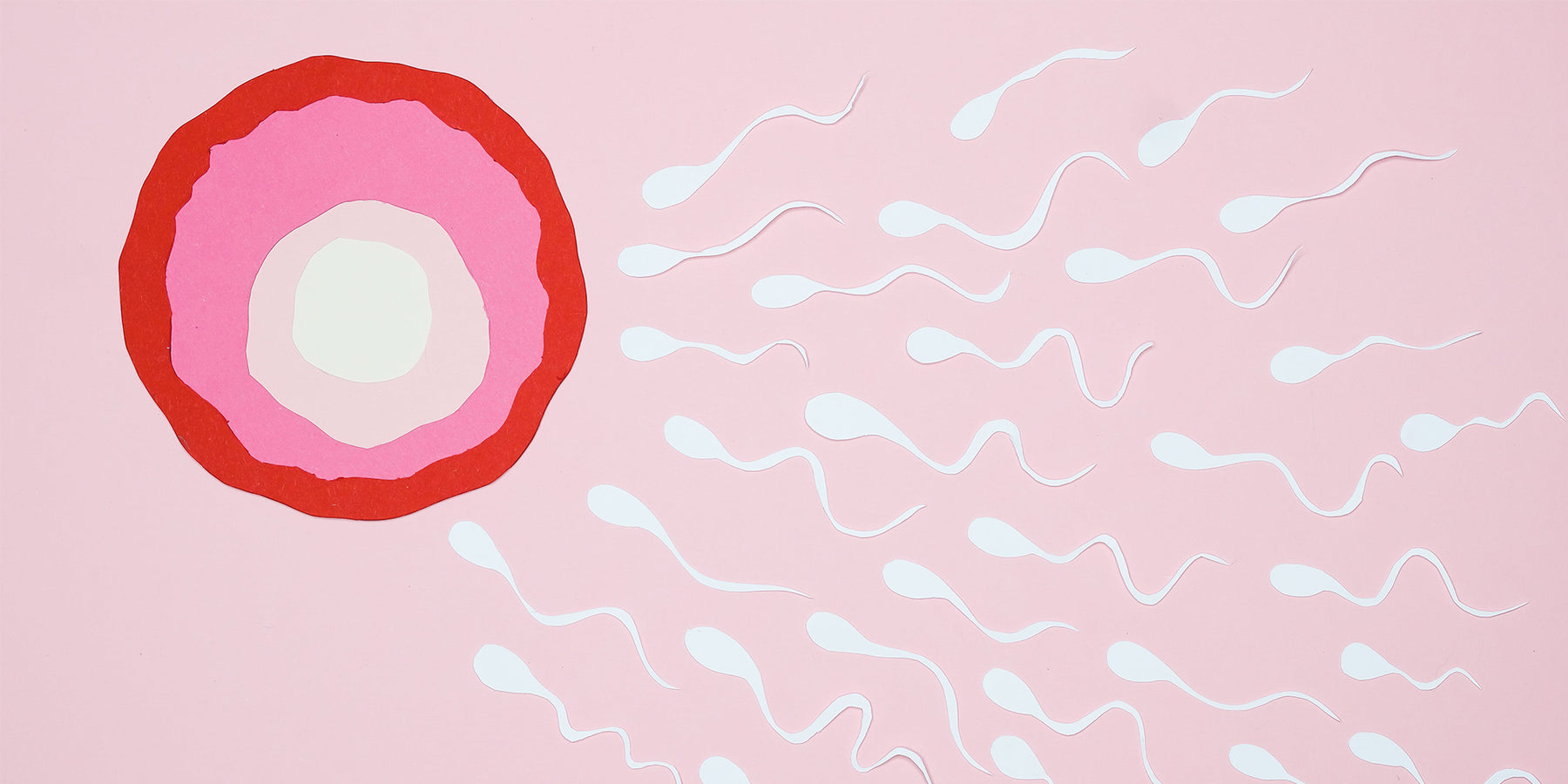 Slikken Of Niet? Wat Je Moet Weten Over Sperma!