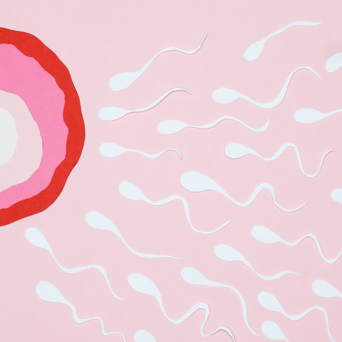 Slikken Of Niet? Wat Je Moet Weten Over Sperma!