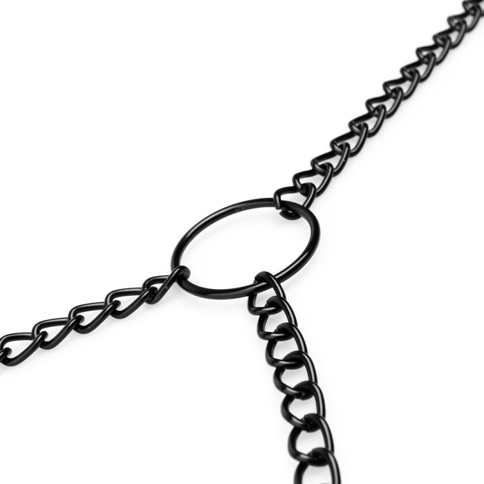 Bedroom Fantasies Tepel- En Clitorisklemmen Met Ketting