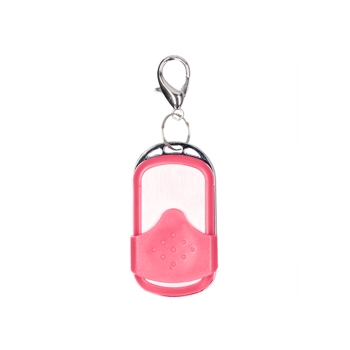 Vibrating Bullet With Remote Control