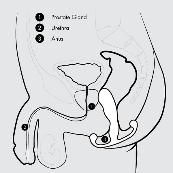 Aneros Eupho Trident Prostaat Stimulator